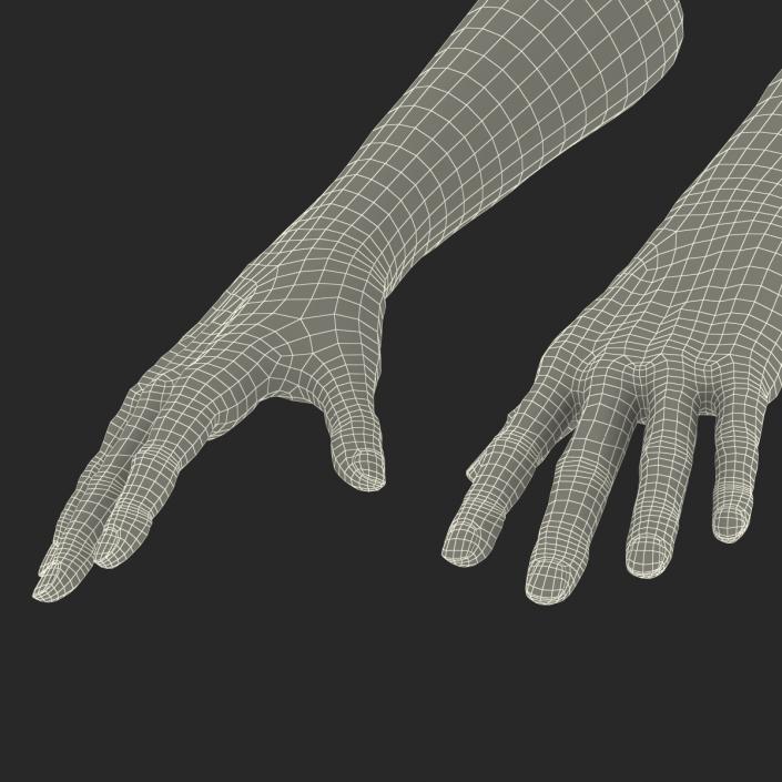 3D Old Man Hands model