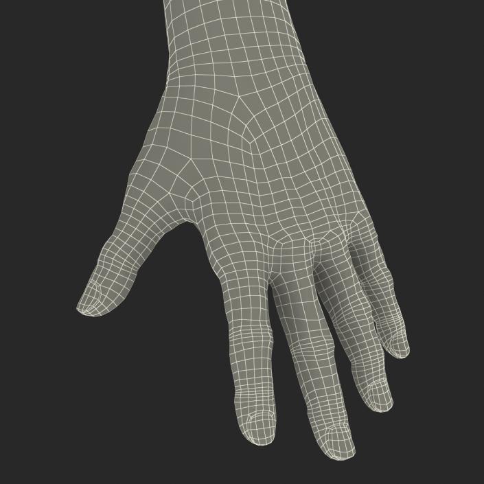 3D Old Man Hands model