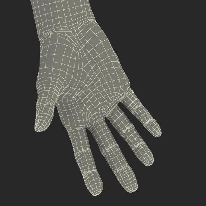 3D Old Man Hands model