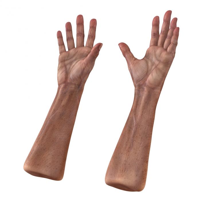 3D model Old Man Hands Rigged