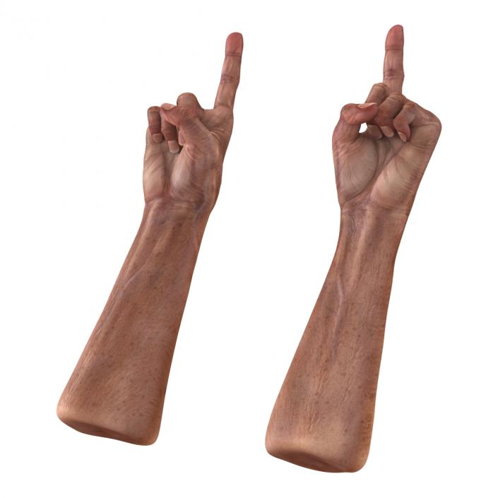 3D model Old Man Hands Rigged