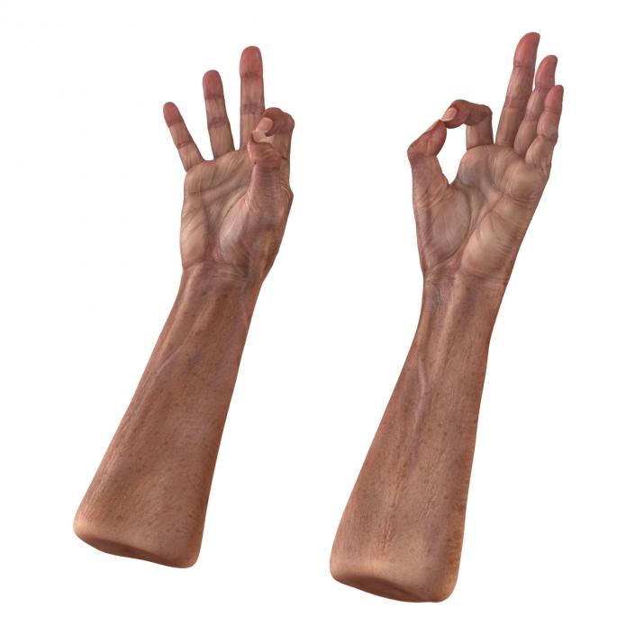 3D model Old Man Hands Rigged