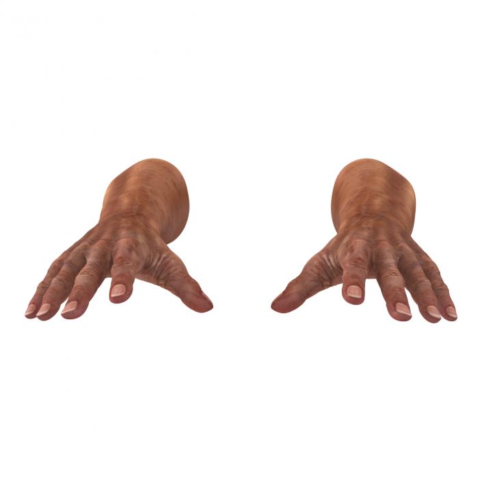 3D model Old Man Hands Rigged