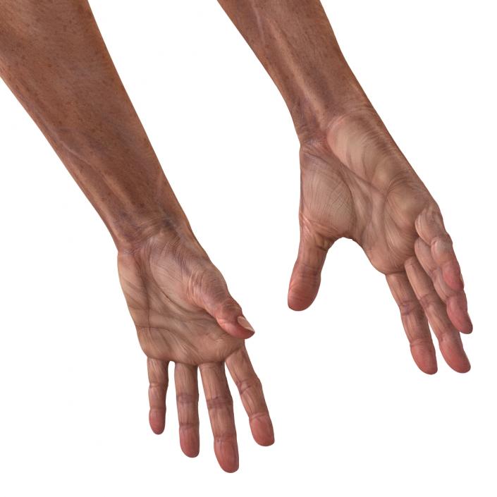 3D model Old Man Hands Rigged