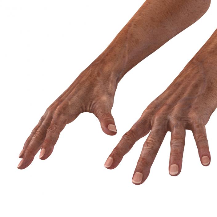 3D model Old Man Hands Rigged