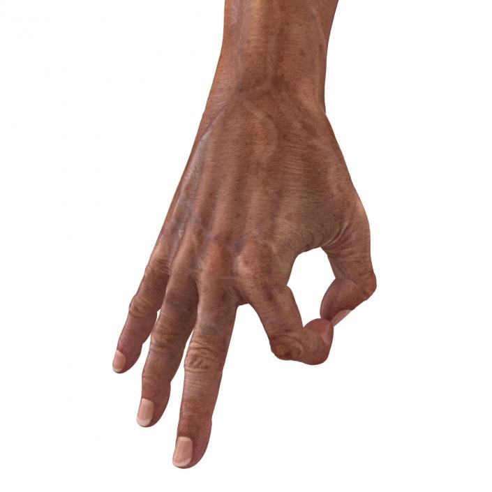 3D model Old Man Hands Rigged