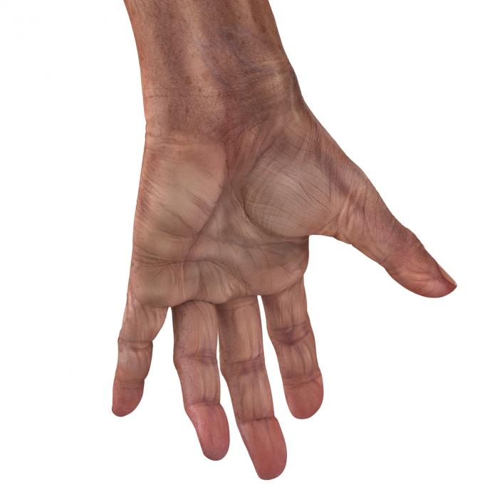 3D model Old Man Hands Rigged