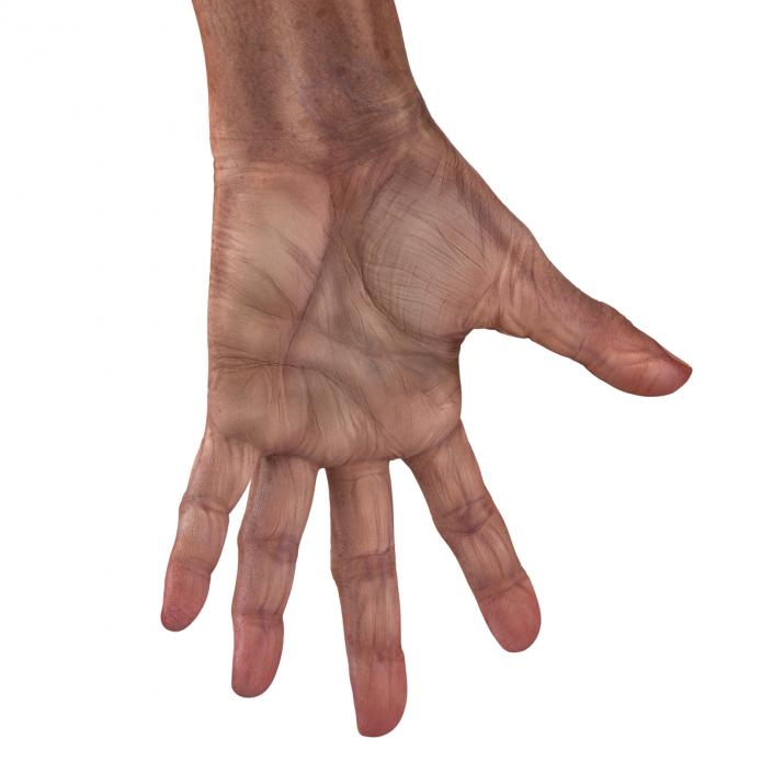 3D model Old Man Hands Rigged