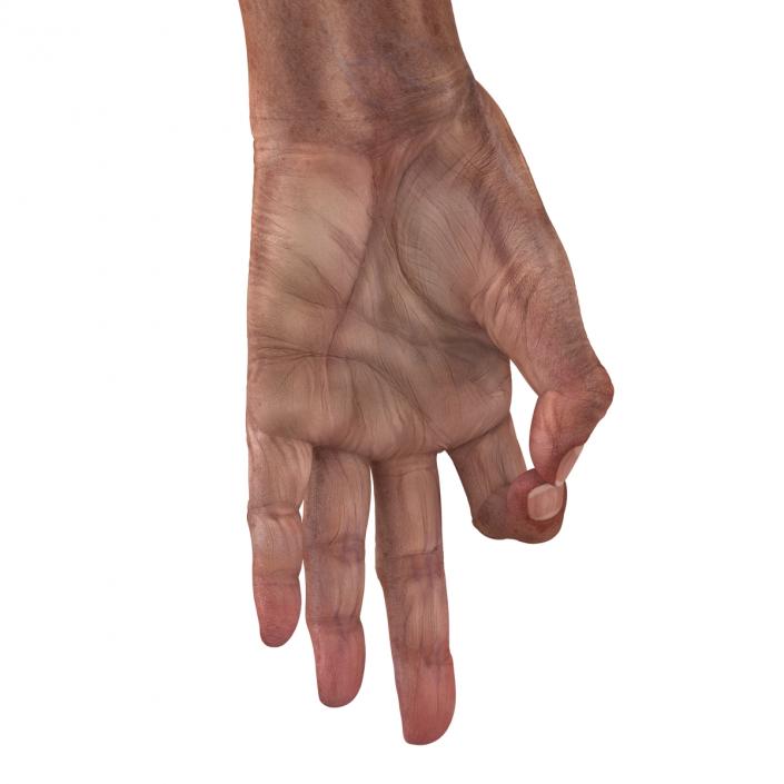 3D model Old Man Hands Rigged