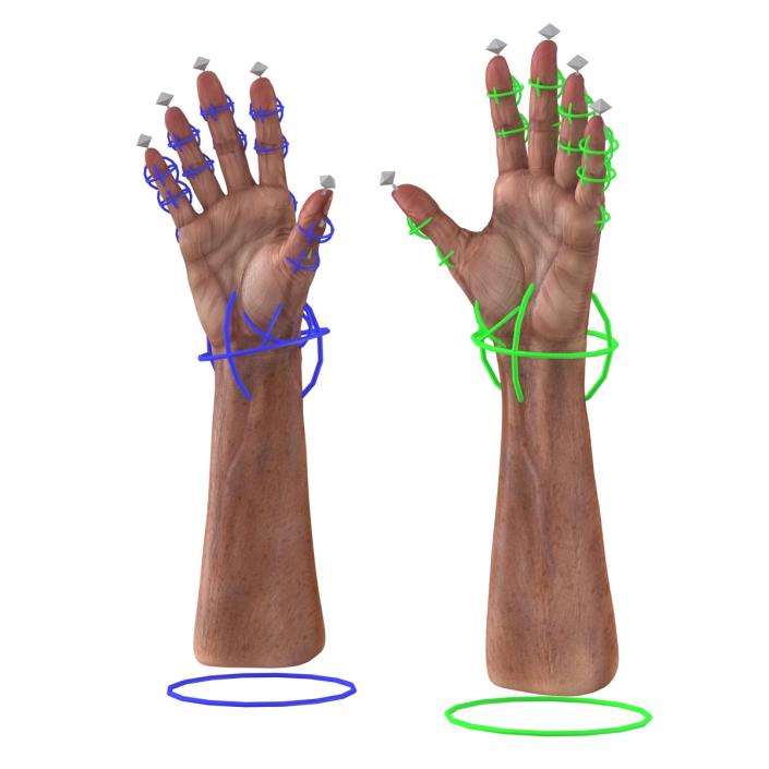 3D model Old Man Hands Rigged