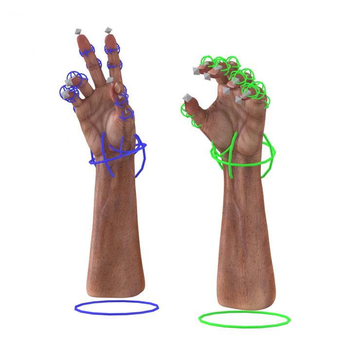 3D model Old Man Hands Rigged