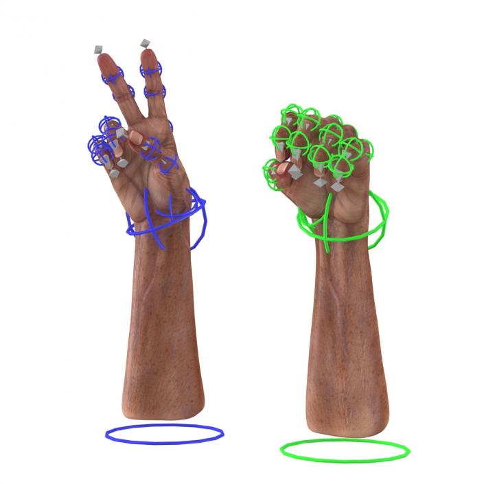 3D model Old Man Hands Rigged