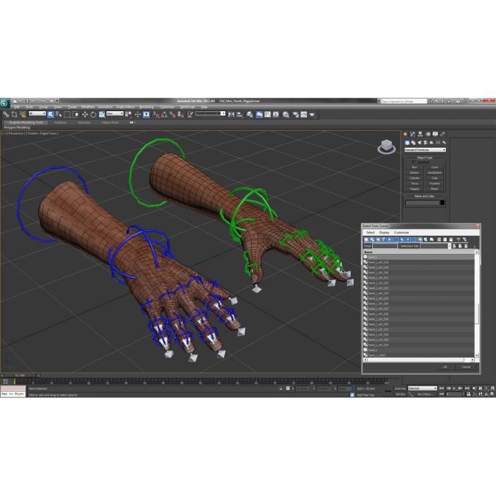 3D model Old Man Hands Rigged