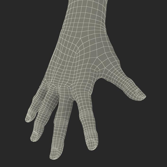 3D model Old Man Hands Rigged