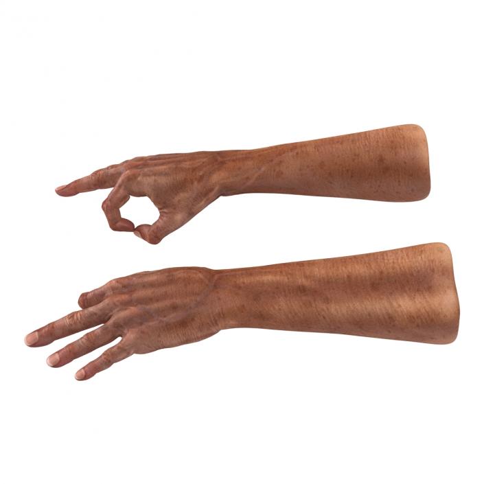 3D model Old Man Hands Pose 5