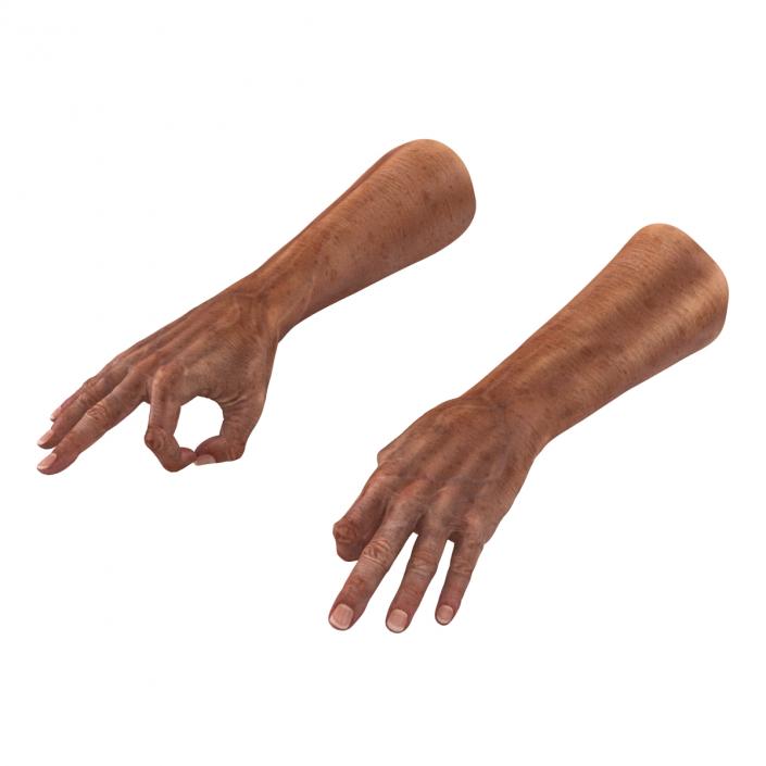 3D model Old Man Hands Pose 5