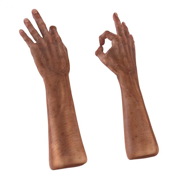 3D model Old Man Hands Pose 5