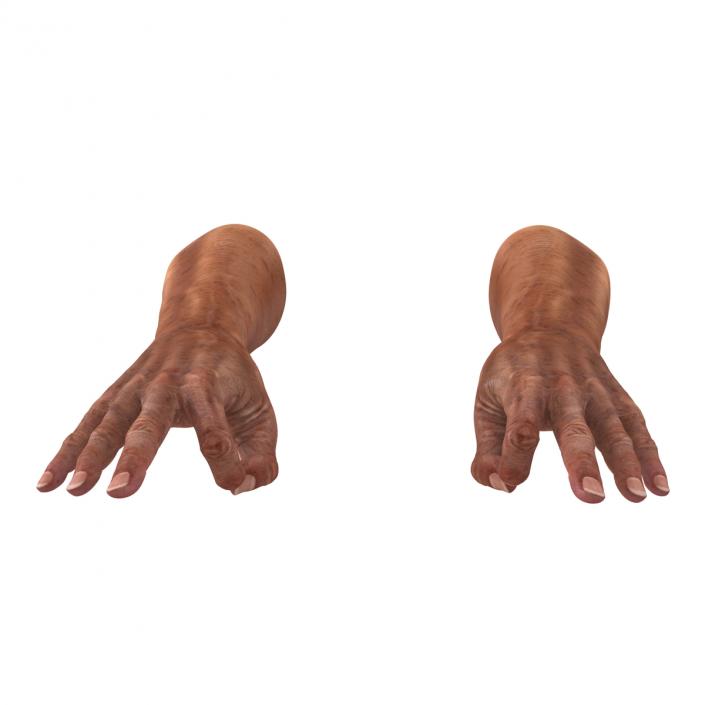 3D model Old Man Hands Pose 5