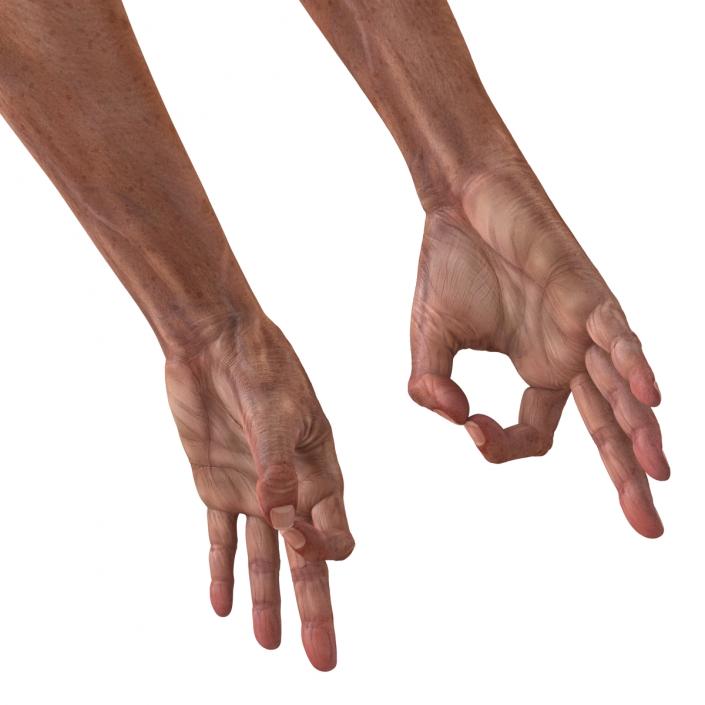 3D model Old Man Hands Pose 5