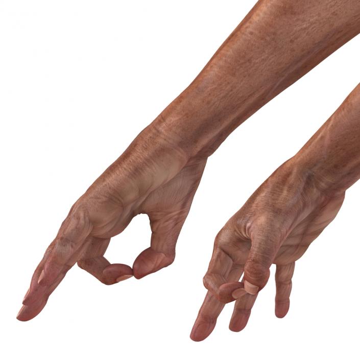 3D model Old Man Hands Pose 5