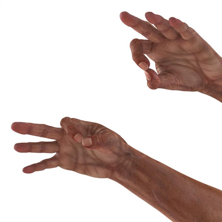 3D model Old Man Hands Pose 5