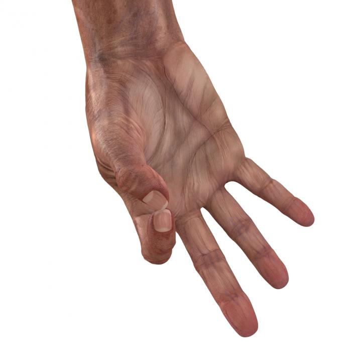 3D model Old Man Hands Pose 5