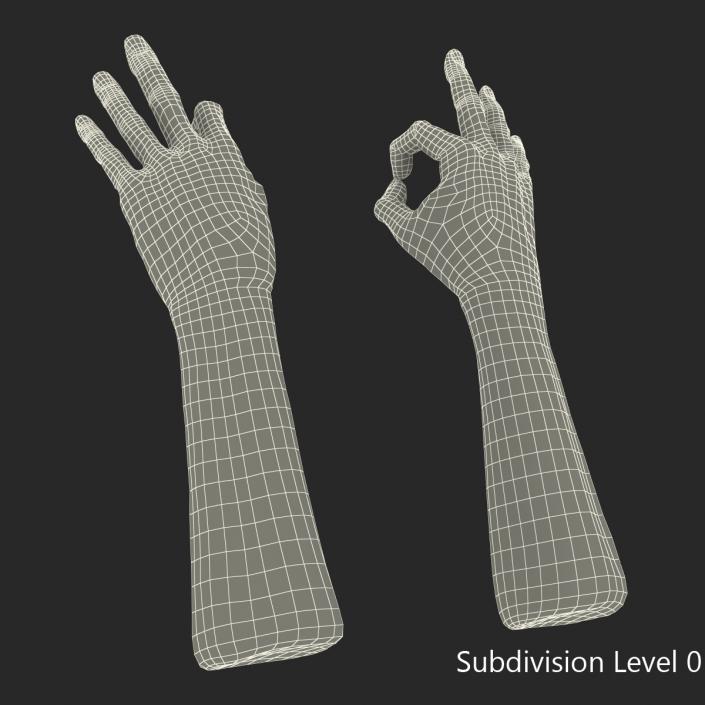 3D model Old Man Hands Pose 5