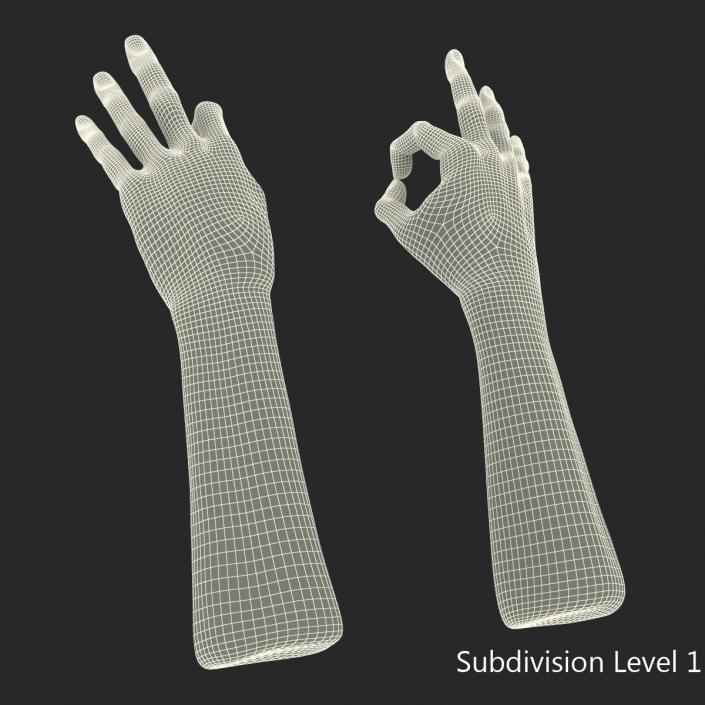 3D model Old Man Hands Pose 5