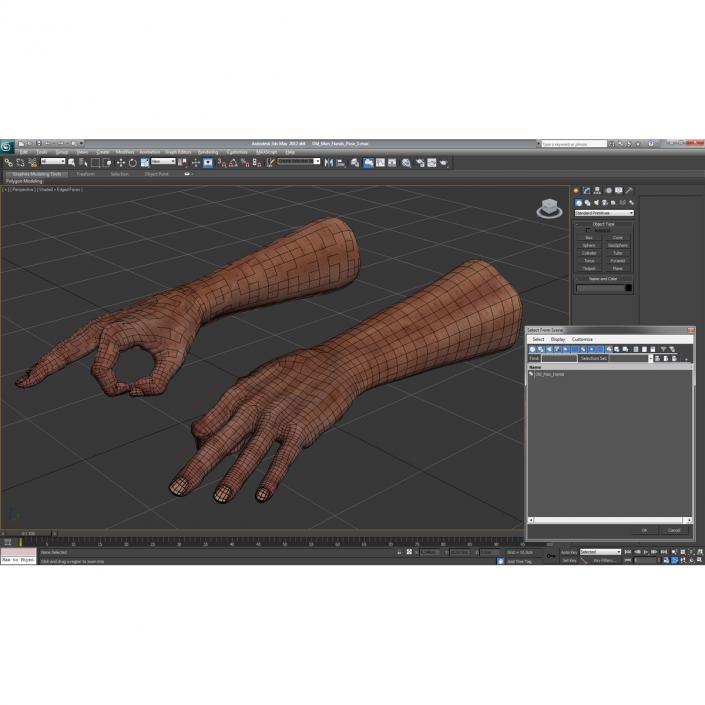 3D model Old Man Hands Pose 5