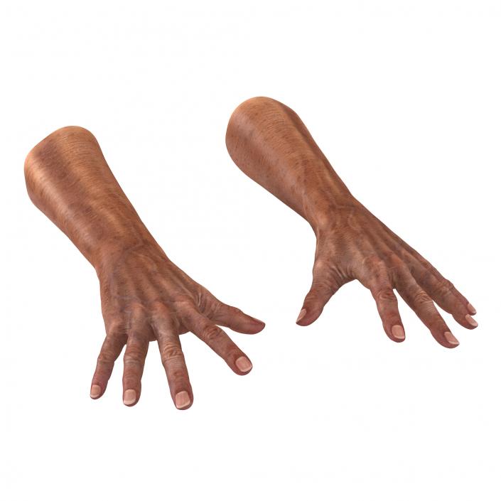 3D model Old Man Hands Pose 4