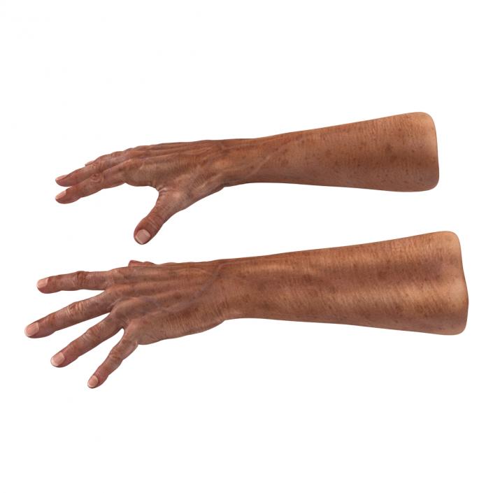 3D model Old Man Hands Pose 4