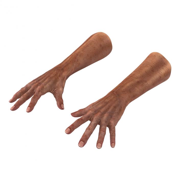 3D model Old Man Hands Pose 4