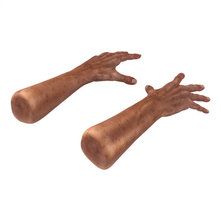 3D model Old Man Hands Pose 4