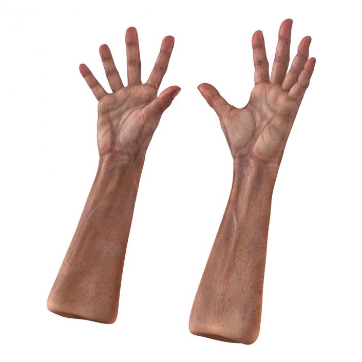 3D model Old Man Hands Pose 4