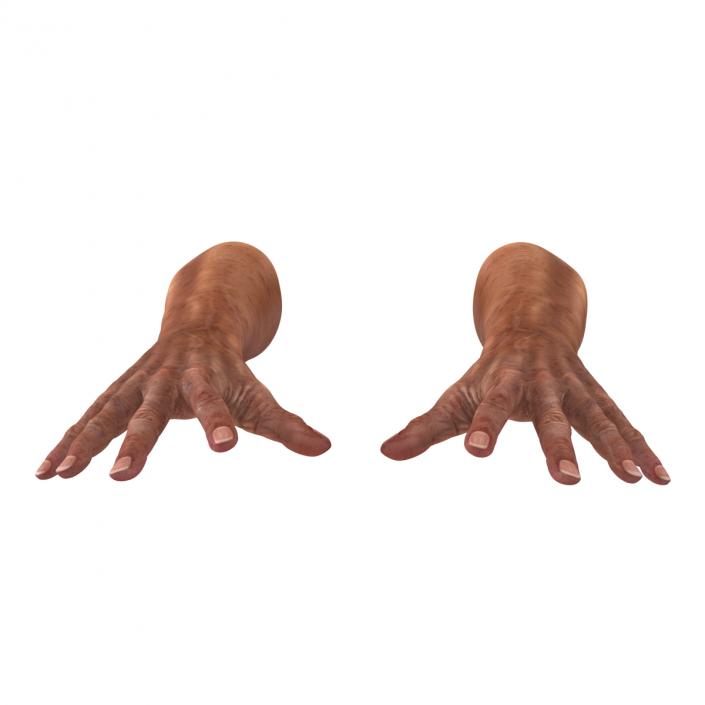 3D model Old Man Hands Pose 4