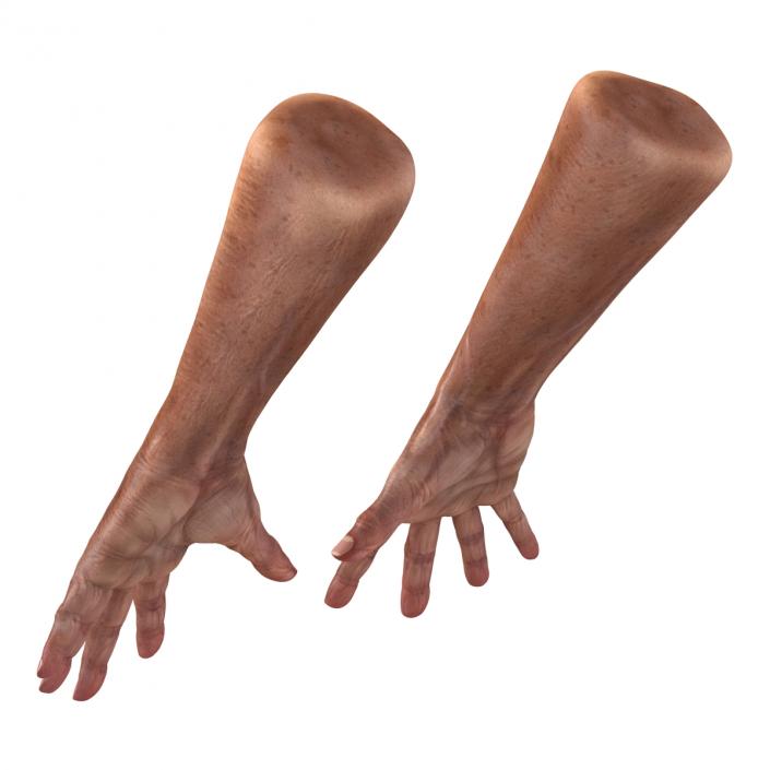 3D model Old Man Hands Pose 4