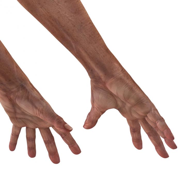 3D model Old Man Hands Pose 4