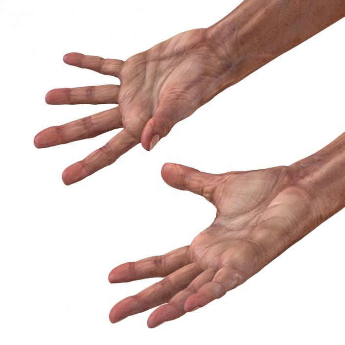 3D model Old Man Hands Pose 4