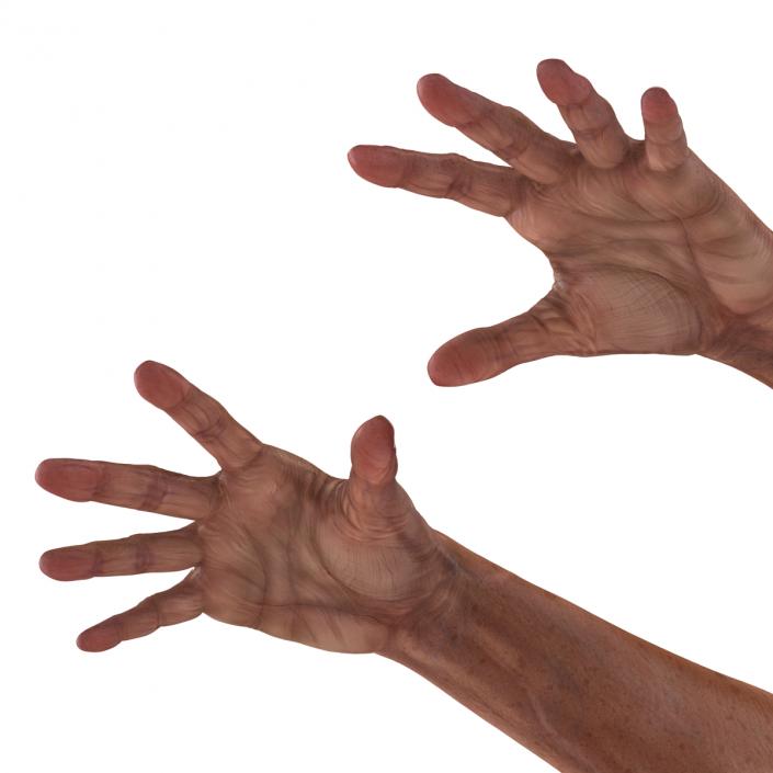 3D model Old Man Hands Pose 4