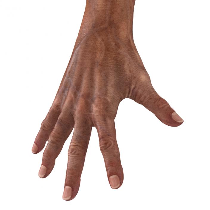 3D model Old Man Hands Pose 4