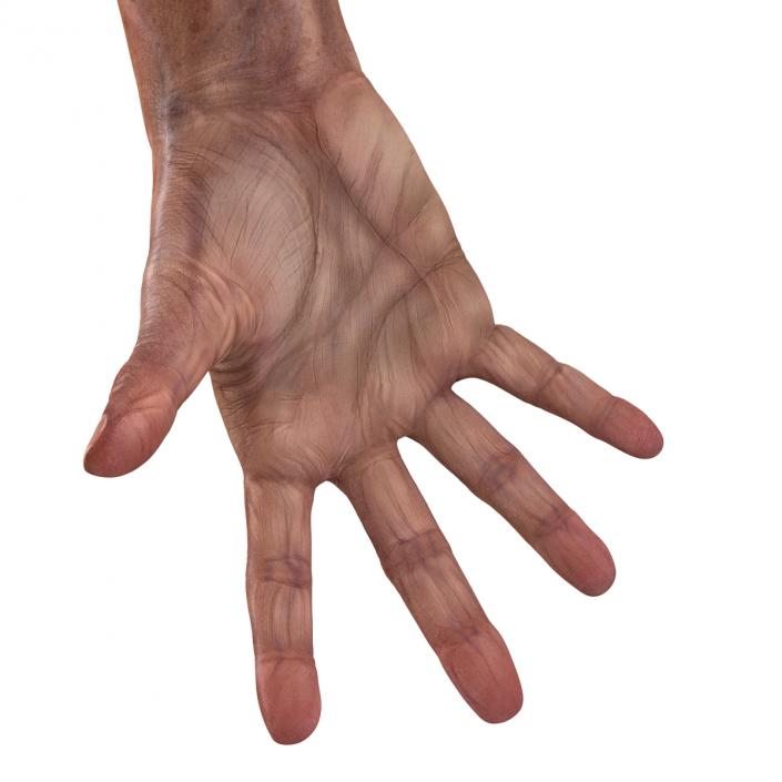 3D model Old Man Hands Pose 4