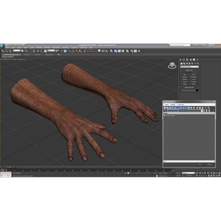 3D model Old Man Hands Pose 4