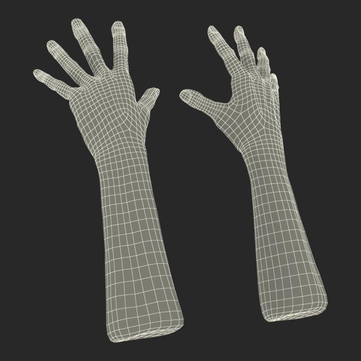 3D model Old Man Hands Pose 4