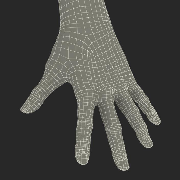 3D model Old Man Hands Pose 4