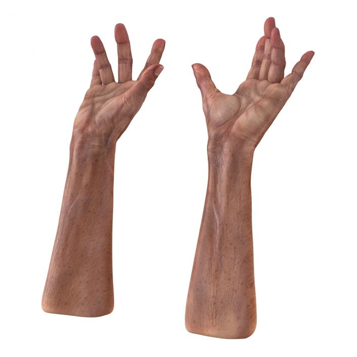 3D model Old Man Hands Pose 3