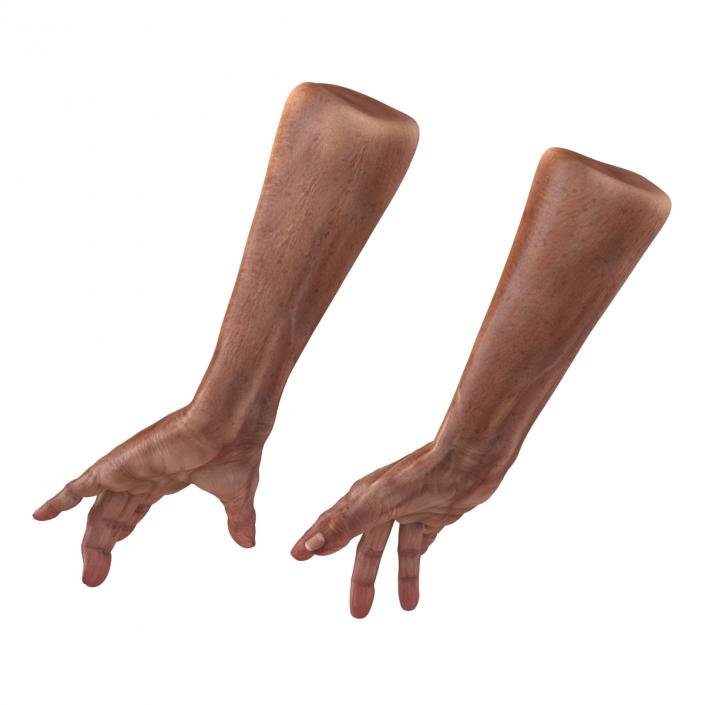 3D model Old Man Hands Pose 3