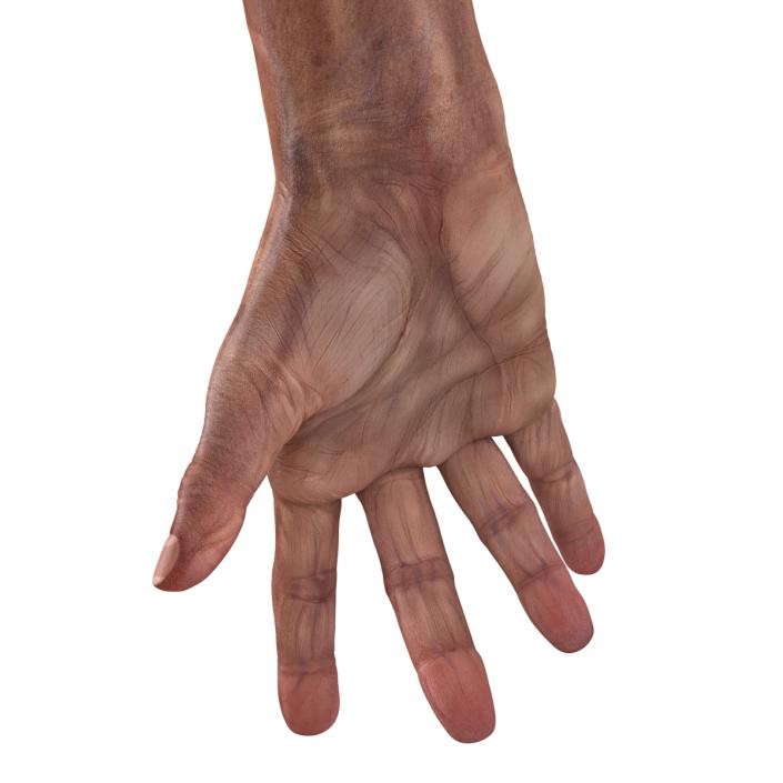 3D model Old Man Hands Pose 3