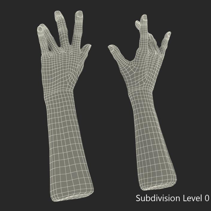 3D model Old Man Hands Pose 3