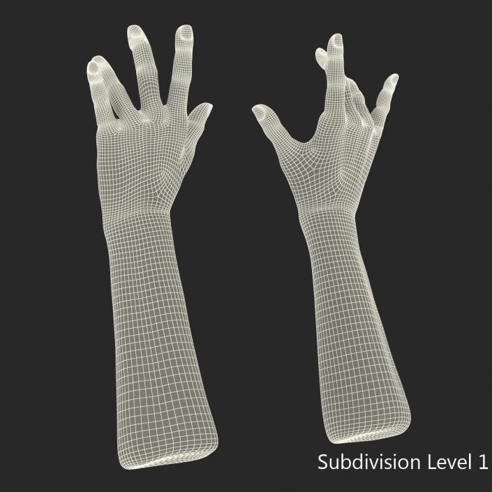 3D model Old Man Hands Pose 3