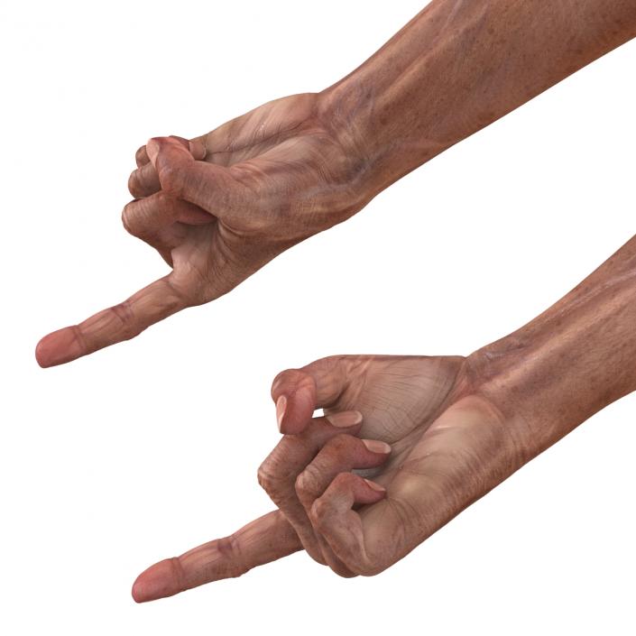 3D model Old Man Hands Pose 2